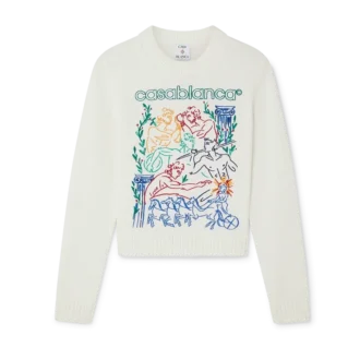 Pulover brodat Pulover brodat