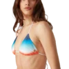Sutien de bikini cu degrade Sutien de bikini cu degrade